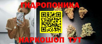 альфа пвп Гусев