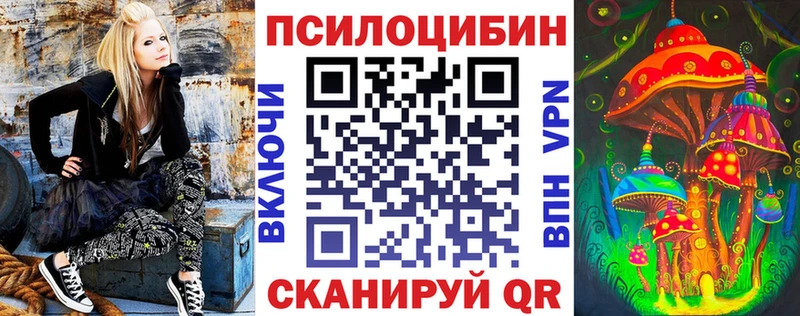 Купить  Реж  Псилоцибиновые грибы Psilocybe 